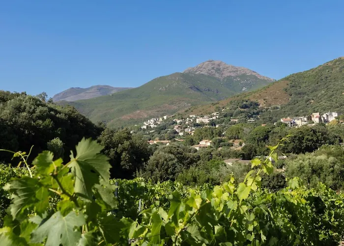 Ma Vie La Διαμέρισμα