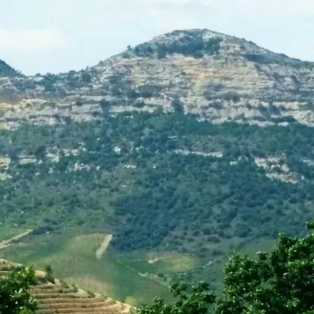 Ma Vie La Διαμέρισμα *