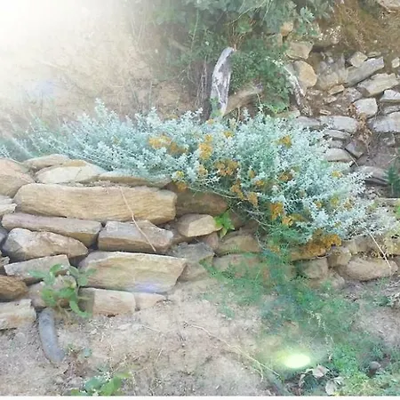 Ma Vie La Διαμέρισμα *