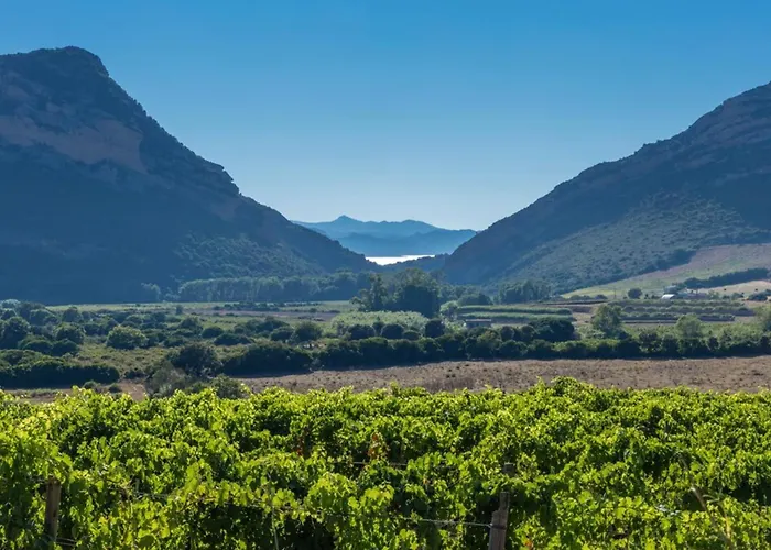 Appartement Ma Vie Là