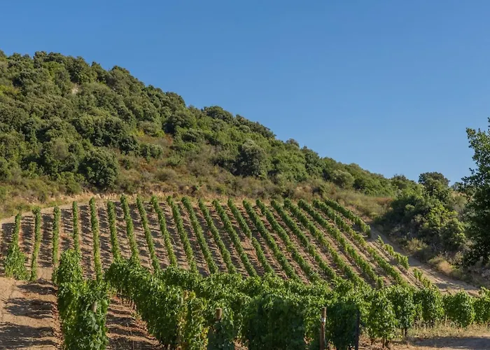 Apartment Ma Vie La Patrimonio