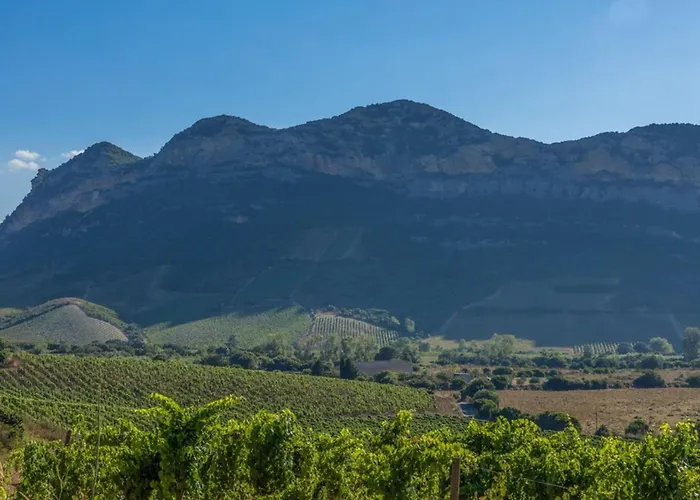 Ma Vie La Apartment *