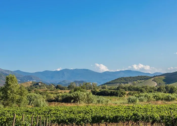 Ma Vie Là Appartement Patrimonio