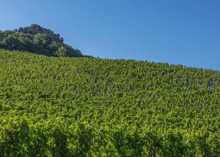 Appartement Ma Vie Là Patrimonio